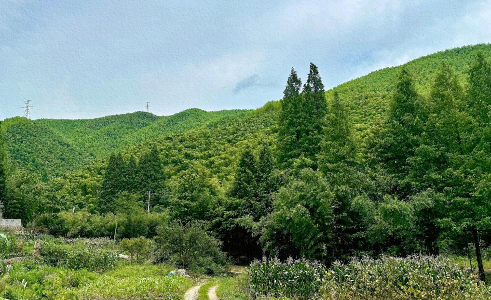 Moganshan Arcadia Resorts Deqing Exteriör bild